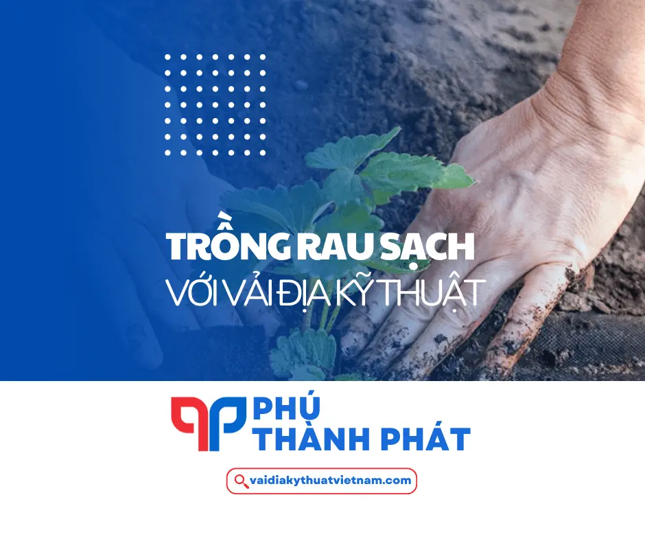 Giải pháp trồng rau sạch bằng vải địa kỹ thuật